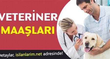 Ordu Büyükşehir Belediyesi Veteriner Hekim Alımı